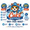 Cat Russian