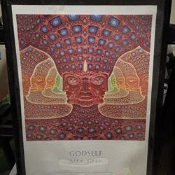 Alex Grey- God Self Framed Poster 18” x 24”