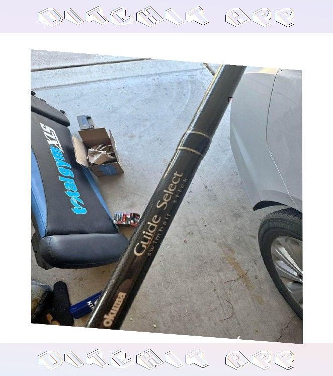 Swimbait Fishing Rod Built for Fishing Enthusiasts these theory