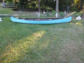 Canoe  15 Feet's 