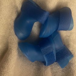 Blue dog shoes