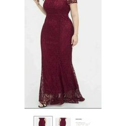 Women’s Lace Evening Dress 