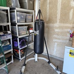 Everlast Punching Bag!