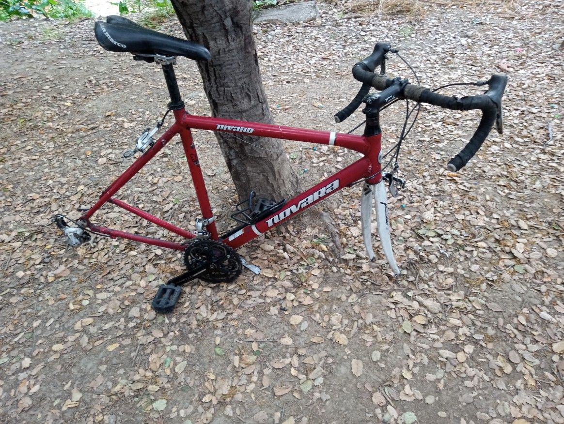 Novara road bike, large frame