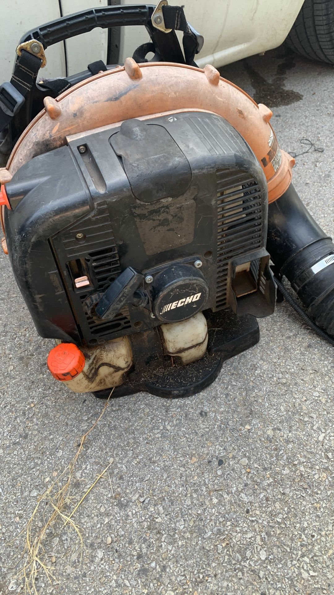 Echo Leaf Blower 