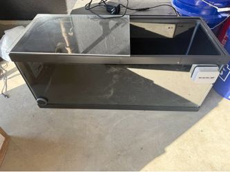 20 gallon tank
