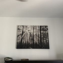 Photograph Of Forrest 