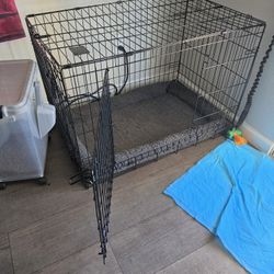 Dog Crate W/ bed
