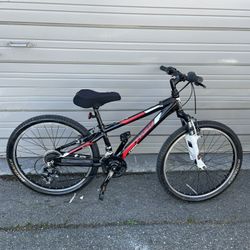Trek MT 220 Mountain Bike