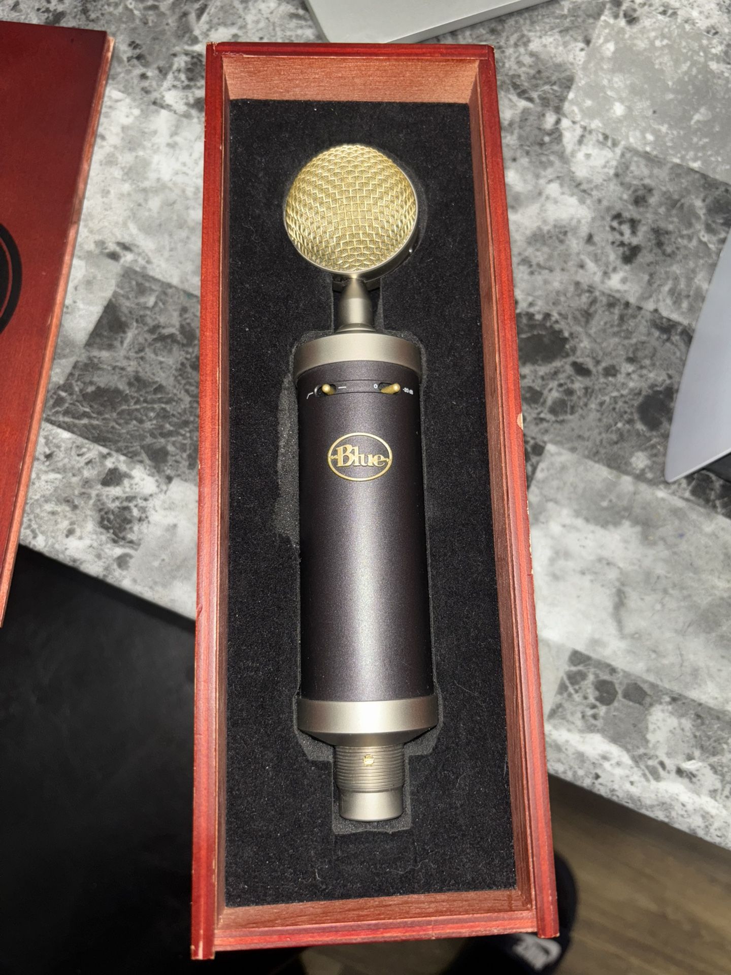 Blue Microphone Baby Bottle XLRCardioid Condenser Microphone for Recording, Streaming, Podcasting, Gaming, Mic with Large Diaphragm Cardioid Capsule,