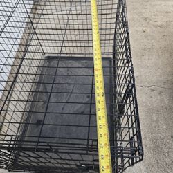 extra large dog crate