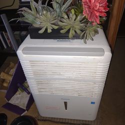 LARGE ROOM DEHUMIDIFIER - WORKS GREAT