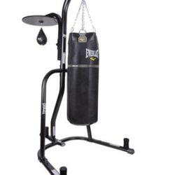 Everlast Boxing Stand with Heavy Bag & Speed Bag