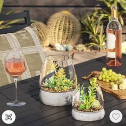 Large + Medium Round Glass With Cement Base Terrarium (Indoor/Outdoor)