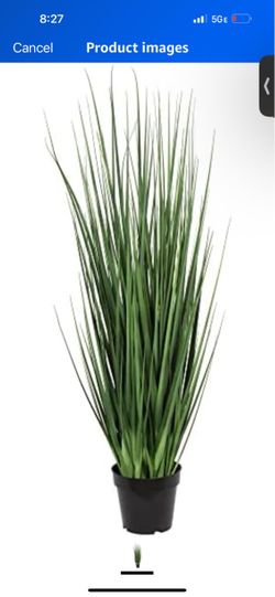 Each one $20 Artificial Grass Plant in Black Pot