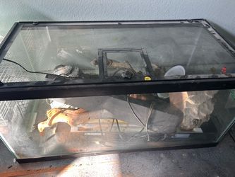 Reptile Terrarium with Screen Lid and Accessories