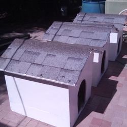 Custom Doghouse's