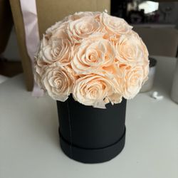 Blush Forever Roses In Box