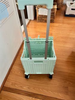 Rolling Collapsible Utility Crate / Shopping Cart (Pastel Green)