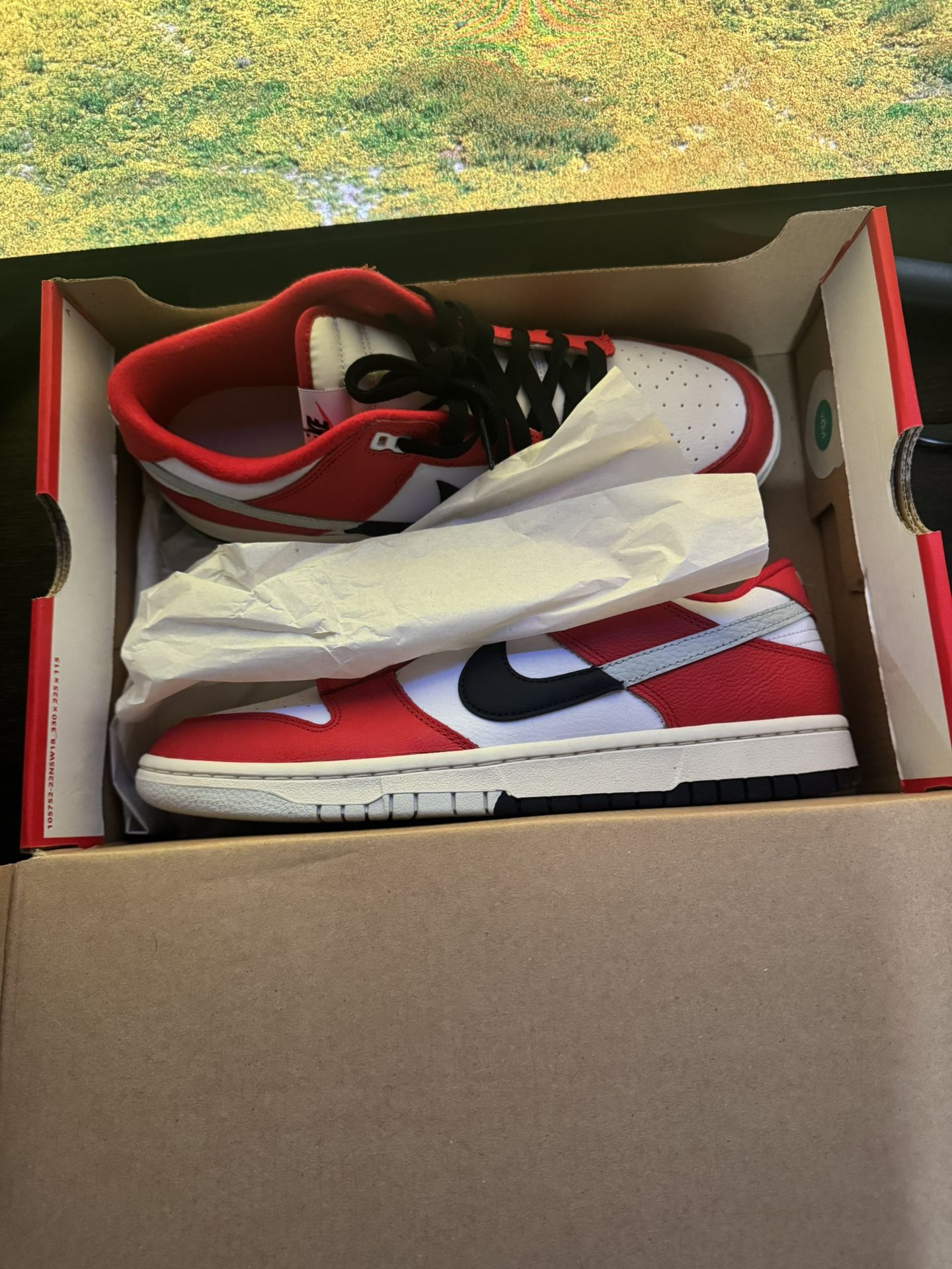 Nike Dunk Low Chicago Split 10.5
