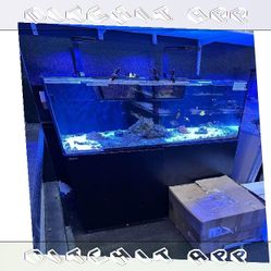 Premium-Grade Aquarium Setup - Top-Level Quality Choice group surface