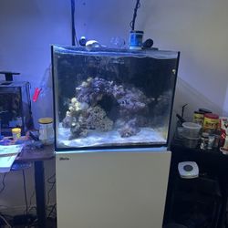 Red Sea 170 Fish Tank / 43 Gallons 