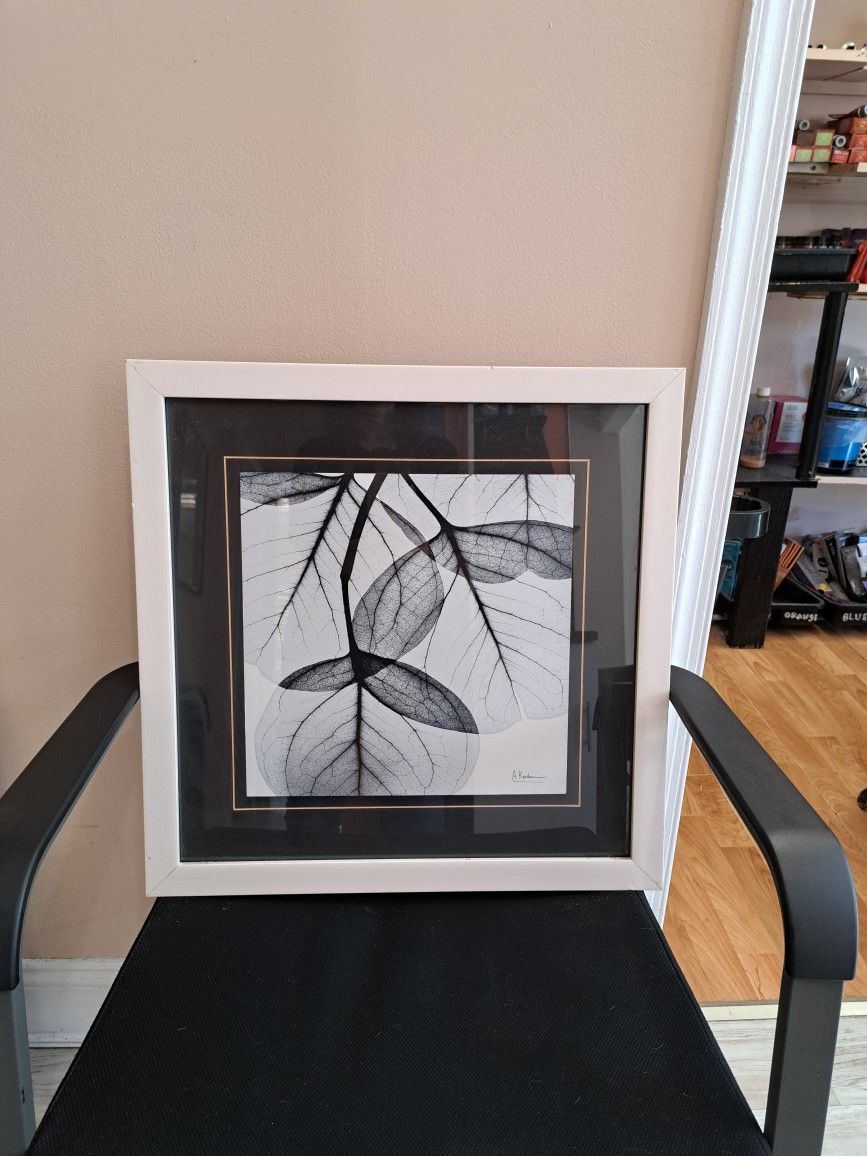 Framed Picture  Of Leaves