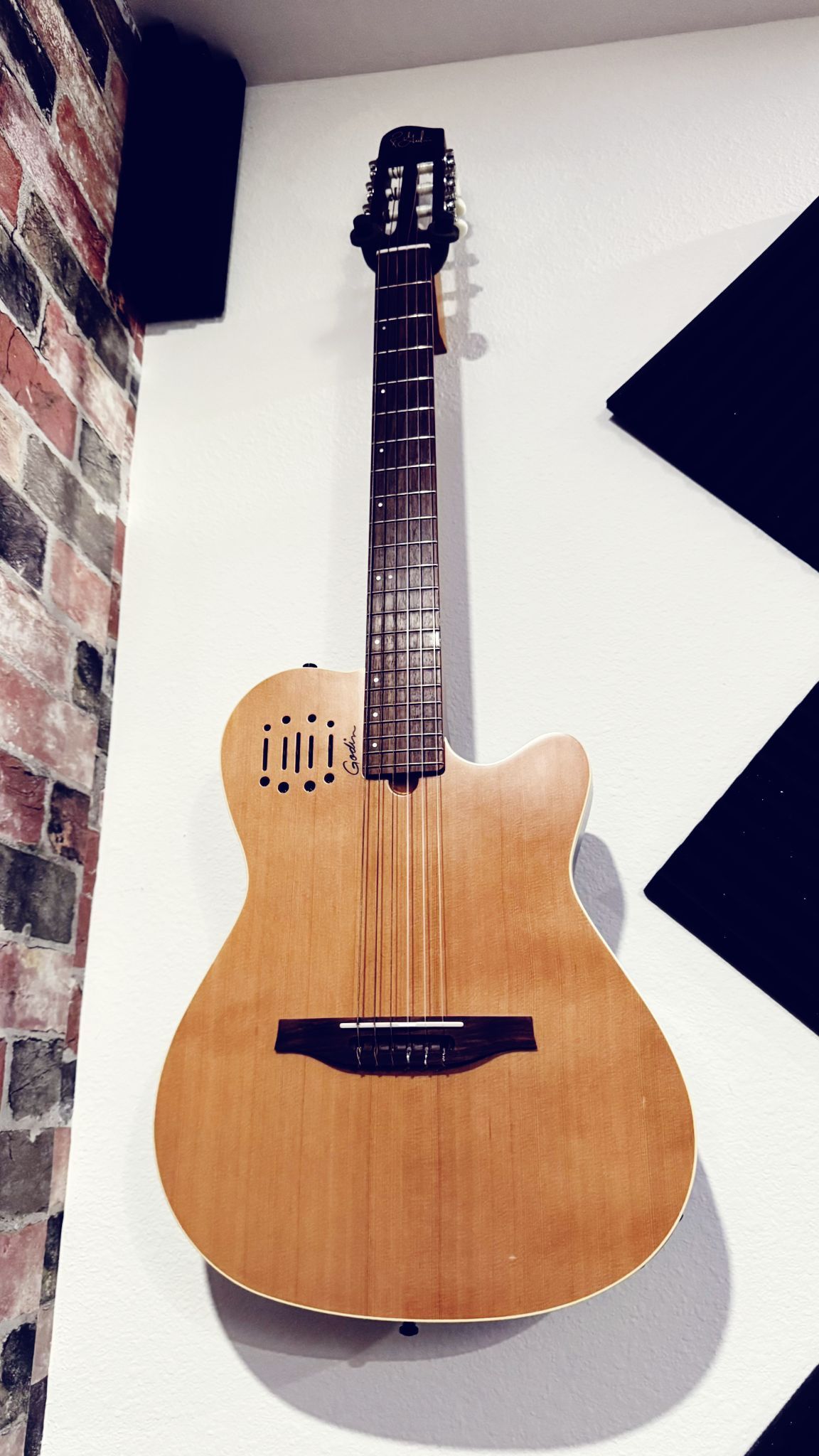 GODIN MULTIAC NYLON ENCORE SG - GigBag INCLUDED!!!