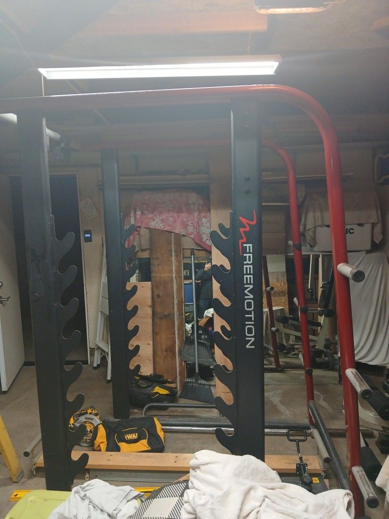Weight Lifting Exercise Rack With Full Olympic Weight Set And Dip Bar And Pull Up Bar And Curl Bar