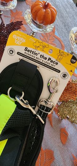 NEW Setting The Pace Dog Leash. Make An Offer.  MPU