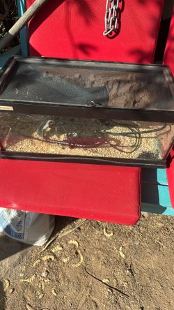 Small snake terrarium with heating pad 20 x 10 x 8