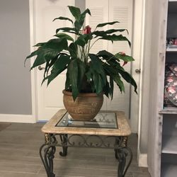 End Table With Planter Iron An Glass 