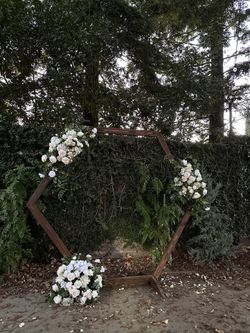 Wedding Arch