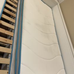 2 Twin size mattresses