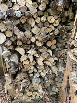 Seasoned firewood