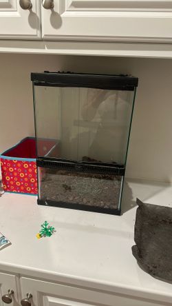 Terrarium