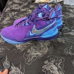 Nike LeBron 
