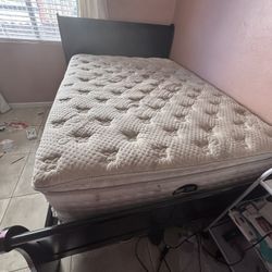 Queen Bed frame/headboard