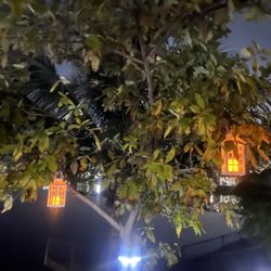 Lanterns With Candle Solar Led $12 Each