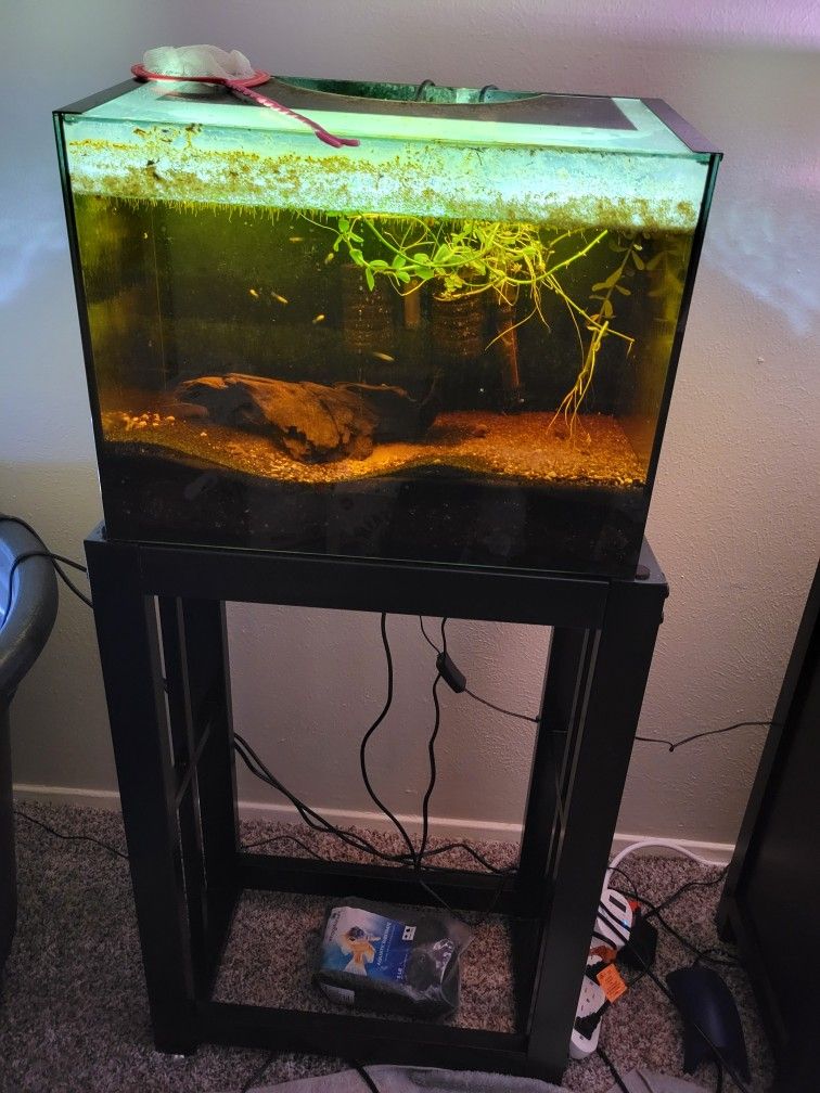 10 Gallon Fish Tank With Stand