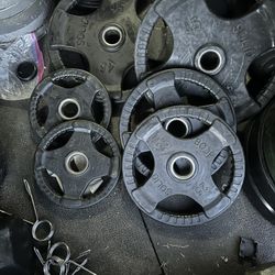 Body Solid Rubber Coated Plates