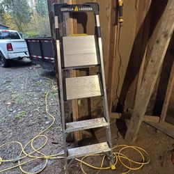 Gorilla Ladder 