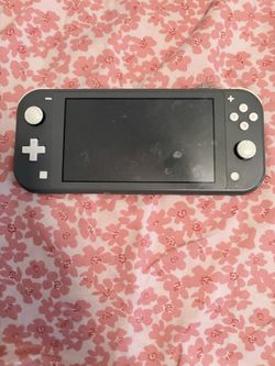 Switch lite