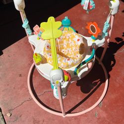 Fisherprice Bouncer 
