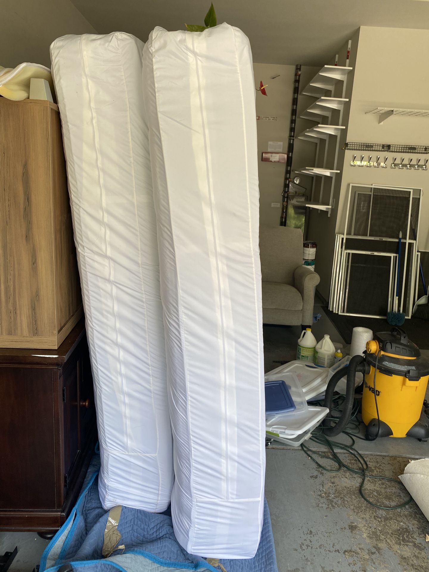 2 Twin Mattresses