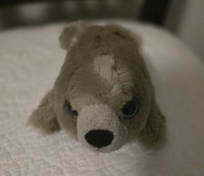 8" Plush Seal