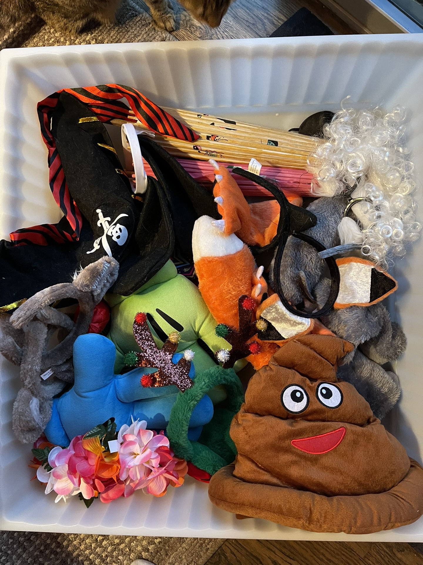 Costume, Halloween, Dress-Up Items