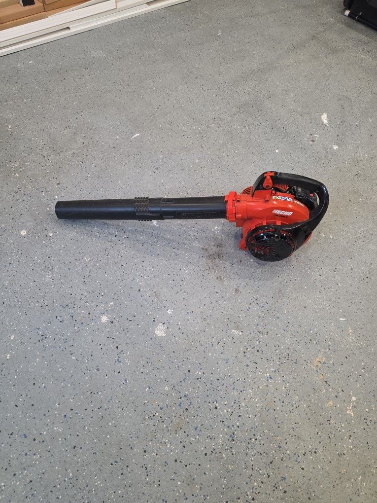 Echo Leaf Blower