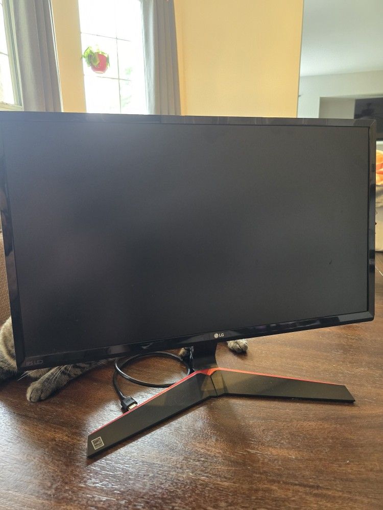 LG 24" Gaming Monitor