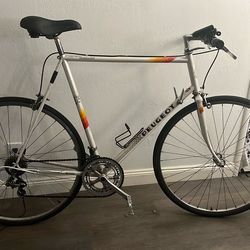 Peugeot tourmalet 12speed
